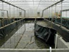 Credit: National Oceanic and Atmospheric Administration/Department of Commerce; Photographer: Eileen McVey