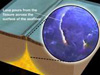 Credit: Inflection Media, Inc. and National Oceanic and Atmospheric Administration/ Department of Commerce: Video footage from the movie