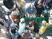 Kodiak children view a tanner crab