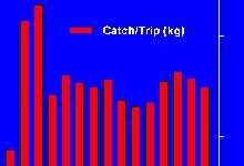 Wreckfish catch data 1984-2002