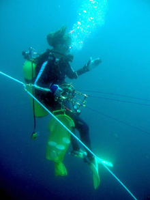 Scuba divers enter the mid-water realm to collect gelatinous