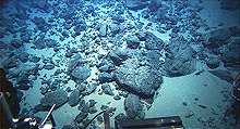 Seafloor at 2,170 Feet