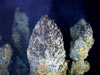 Beehive-type tops of the chimneys are expelling hydrothermal fluids that make 'smoke' upon mixing with the surrounding seawater.