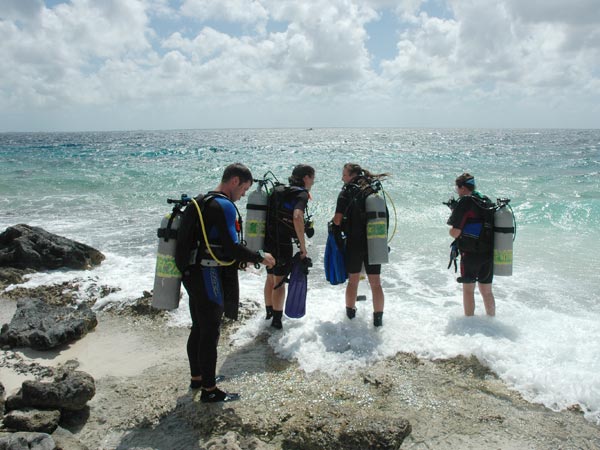 Several members of the scientific dive team enter the water navigating by GPS along a predetermined heading conducting video transects to determine percent coral cover.
