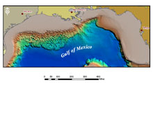 Multibeam bathymetry data for the Gulf of Mexico.