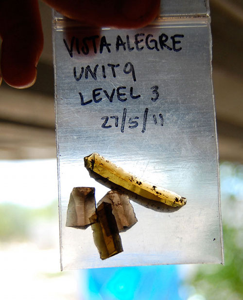 Obsidian collected from an excavation unit at Vista Alegre. Obsidian is a volcanic glass that was used for blades by the Maya and widely traded across Mesoameric. It was not found local to the Yucatan and may have come from as far away as areas near present-day Mexico City.