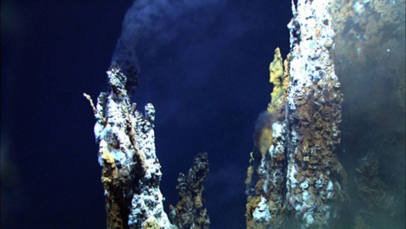 The tops of two active chimneys discovered at Niua South.