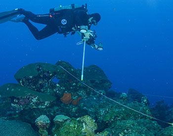 Flower Garden Banks National Marine Sanctuary – For Teachers