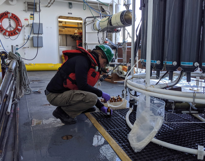 Nancy Prouty collects water samples from Nisken bottles.