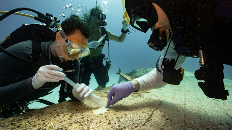 Collecting eDNA Biofilm