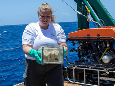 Kirstie Francis collects sponge samples from the Mohawk remotely operated vehicle (ROV). Sponge samples were stored in the ROV’s bioboxes for transport from the seafloor to the surface, where they are processed for chemistry, taxonomy, microbiology, DNA, and sponge cell culture.