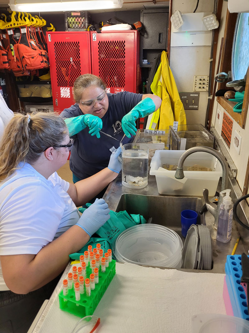 Esther Guzmán and Kirstie Francis process a sample in the wet lab on Research Vessel F.G. Walton Smith during Exploration of Deepwater Habitats off Puerto Rico and the U.S. Virgin Islands for Biotechnology Potential.