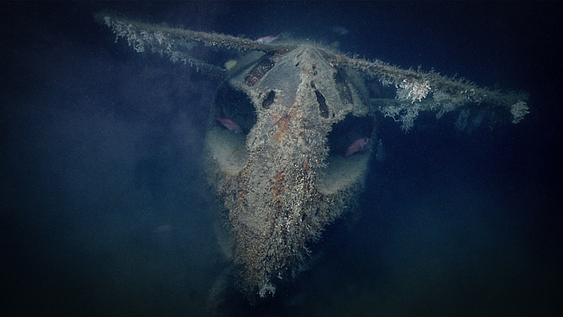 The remains of USS Muskallunge (SS-262) on the seafloor off Long Island, New York.