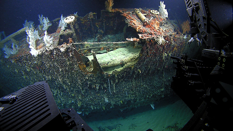 When last visited by NOAA Ocean Exploration in 2015, USS S-19 (SS-124) was relatively intact, aside from features removed prior to disposal. It was resting on its midship section and had become habitat for deep-sea animals, corals in particular.