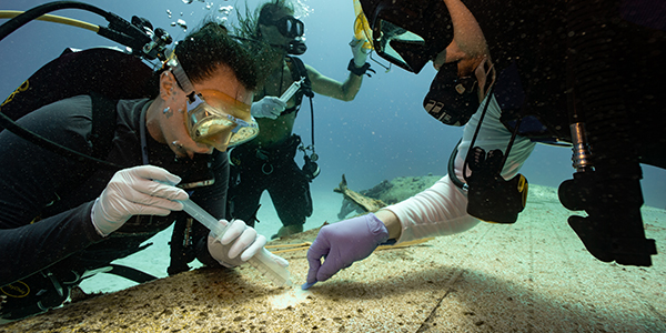 Divers collecting eDNA biofilm from the wreck of a U.S. PBY Coronado seaplane wreck off Saipan during the Exploring Deepwater World War II Battlefields in the Pacific Using Emerging Technologies project, which was funded by the Ocean Exploration Fiscal Year 2022 Funding Opportunity.