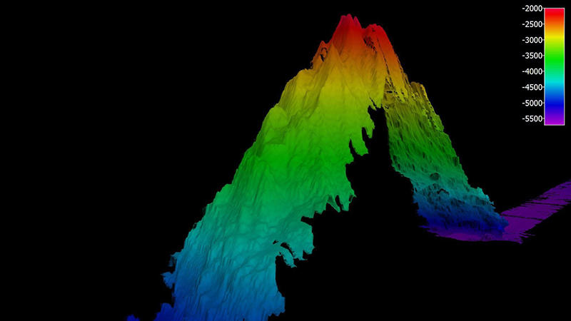 Seamount mapped on the return voyage to Honolulu, Hawai'i during the Mountains in the Deep: Exploring the Central Pacific Basin (EX1705) expedition in 2017.