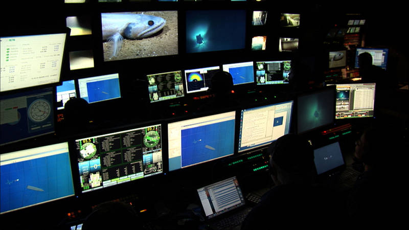 Okeanos Explorer’s control room as seen during an ROV dive. The high-tech, integrated control room is the nerve center for cruise operations. Here, pilots and navigators control the ROV, onboard scientists view the live video feeds from the ROV and interact with scientists on shore, onboard technicians acquire and process mapping and other data, and telepresence operations are run.