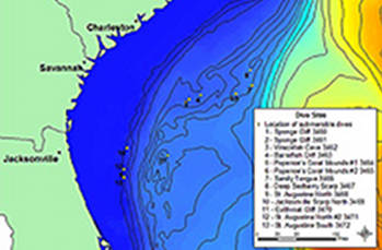 View the education lessons and associated resources prepared for the Estuary to the Abyss 2004 expedition.