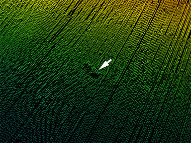 [image] Raw Multibeam Point Data Identifying Wreckage