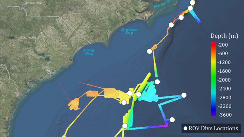 Windows to the Deep 2018: Exploration of the Southeast U.S. Continental Margin