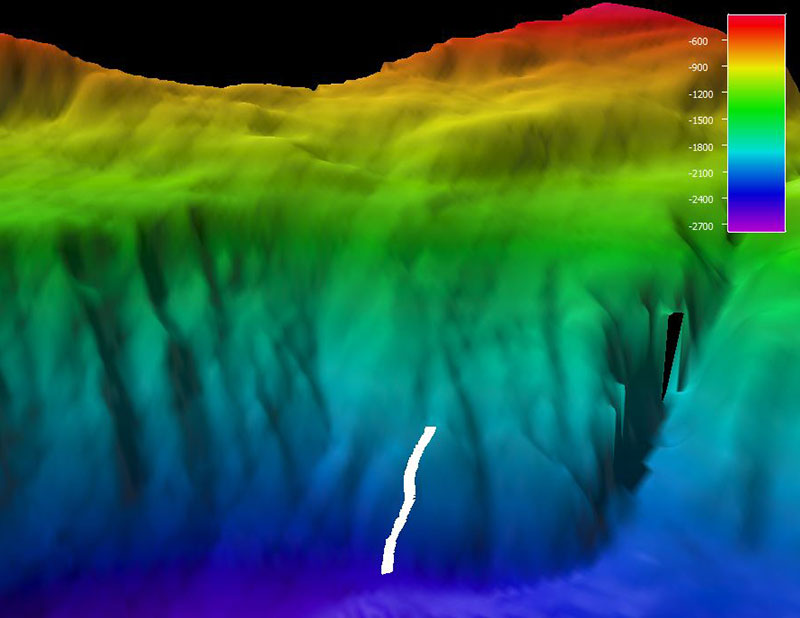 The remotely operated vehicle track for Dive 12, shown as a white line. Scale is water depth in meters.
