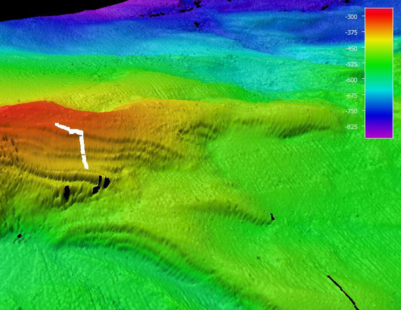 The remotely operated vehicle track for Dive 14, shown as a white line. Scale is water depth in meters.