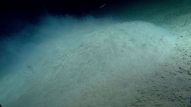 This low relief mound, several meters across, may be underlain by methane hydrate. Fluid that was denser than seawater flowed out of holes in the surface of the mound, entraining fine sediment that then billowed into the water column, as seen here. Red laser dots are separated by 10 centimeters (3.94 inches).