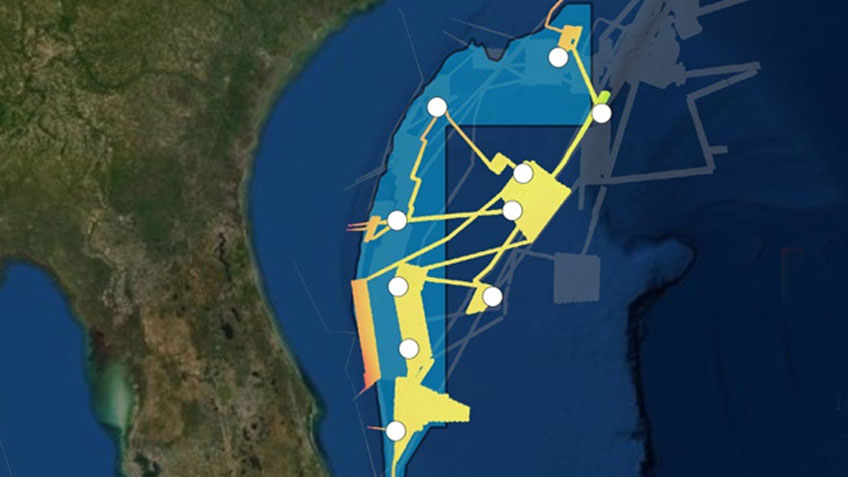 Windows to the Deep 2019: Exploration of the Deep-Sea Habitats of the Southeast United States