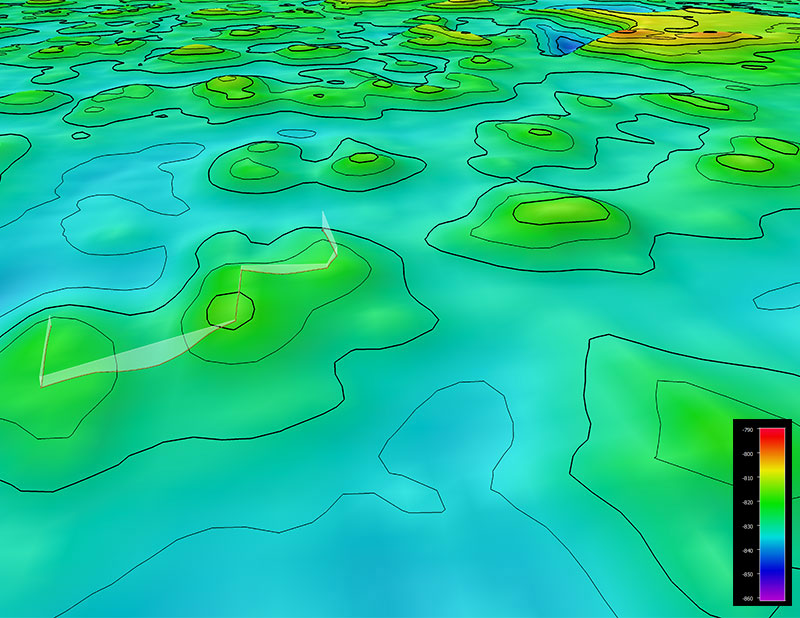 The remotely operated vehicle track for Dive 05 of the 2019 Southeastern U.S. Deep-sea Exploration expedition, shown as an orange line with a white curtain. This mapping data was collected during the first part of the expedition. Scale is water depth in meters. 