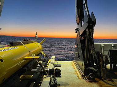 Eagle Ray on the back bow of NOAA Ship Okeanos Explorer.