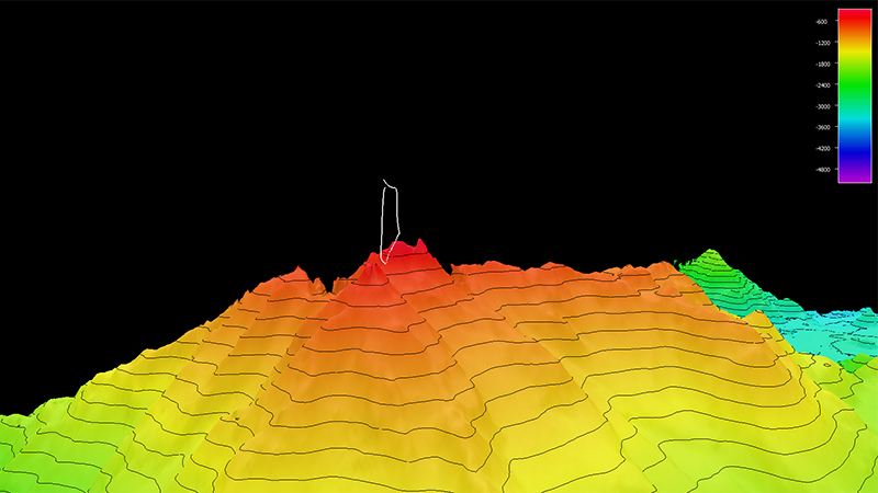 3D topographic map with colorful elevation gradients and contour lines.