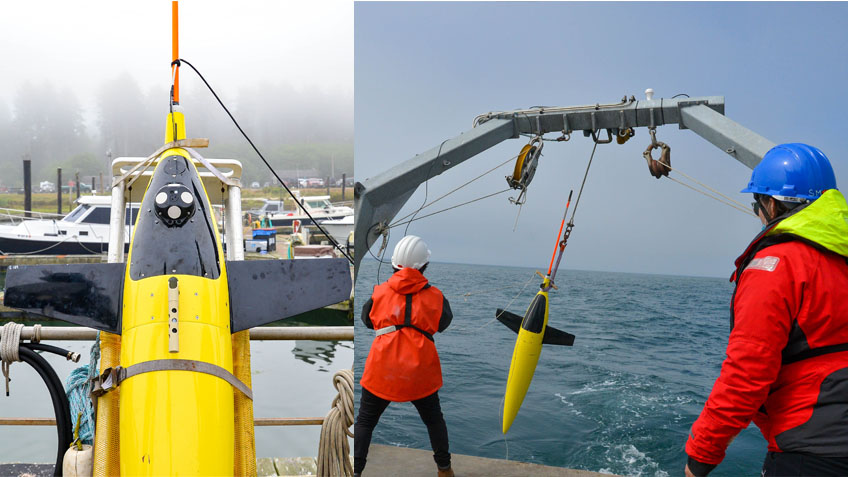 (Left) An acoustic Doppler current profiler (ADCP)-equipped Seaglider. The ADCP is the circular instrument in the middle of the glider. The orange antenna allows the Seaglider to transmit its data and position when it comes to the surface. (Right) The Seaglider is deployed by engineers Christina Ramirez and Kira Smith offshore of La Push, Washington.